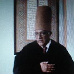 73152209 2918404104858976 8530799661202538496 N